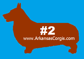 2nd Pick of Red or Sable Boys - Deposit